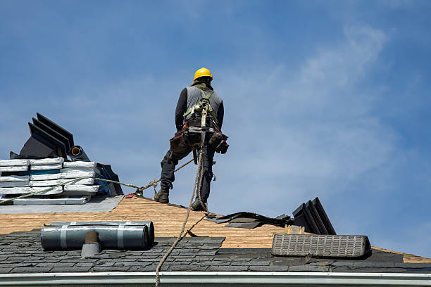 Professional Roof Replacement technician working in Mascotte, FL